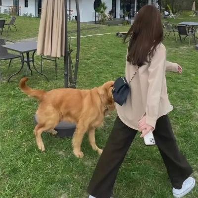 黑影窥窗